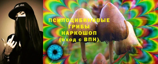тгк Новозыбков