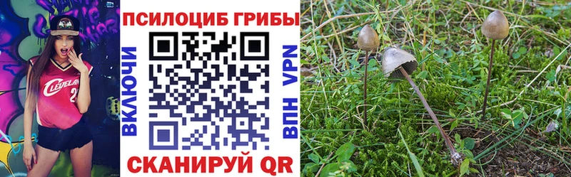 Галлюциногенные грибы GOLDEN TEACHER  Купить закладки  Петропавловск-Камчатский 